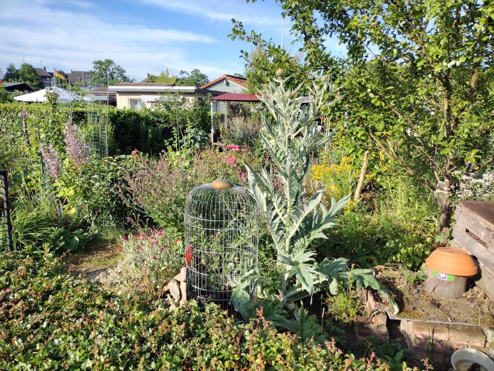 Impression aus dem Garten von Melanie