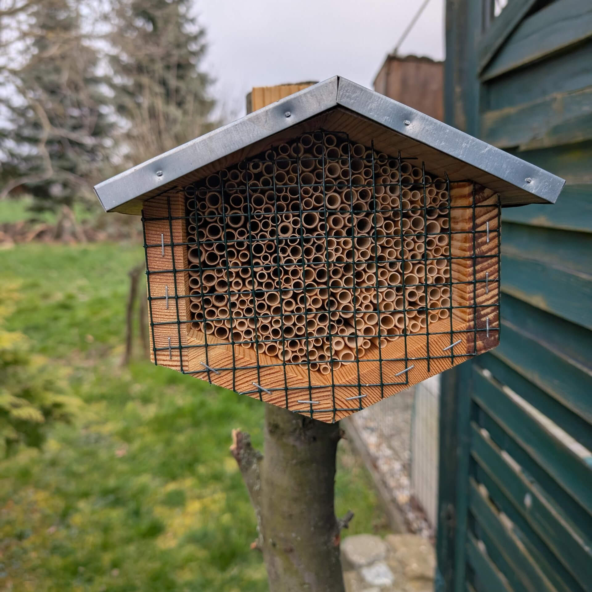 Wildbienenhotel: Den perfekten Standort finden