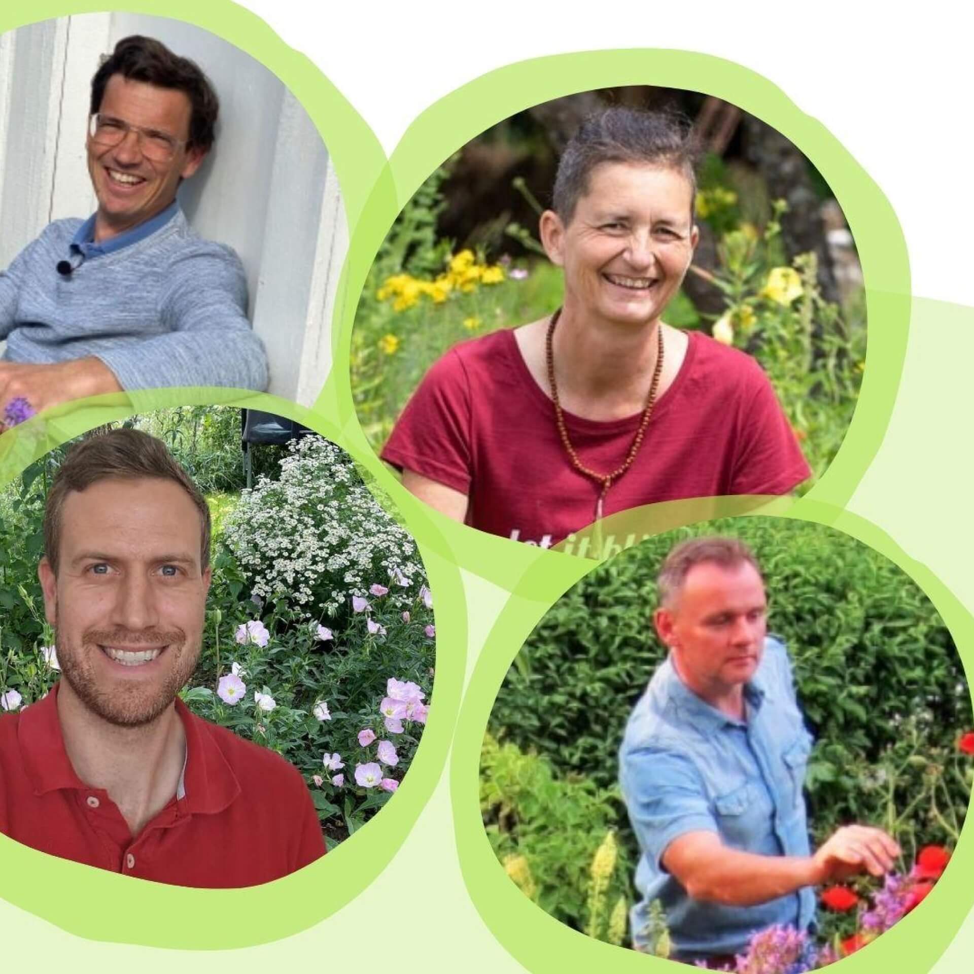 Experten befragt: Wie kann ich meinen Garten ökologisch (um-)gestalten?