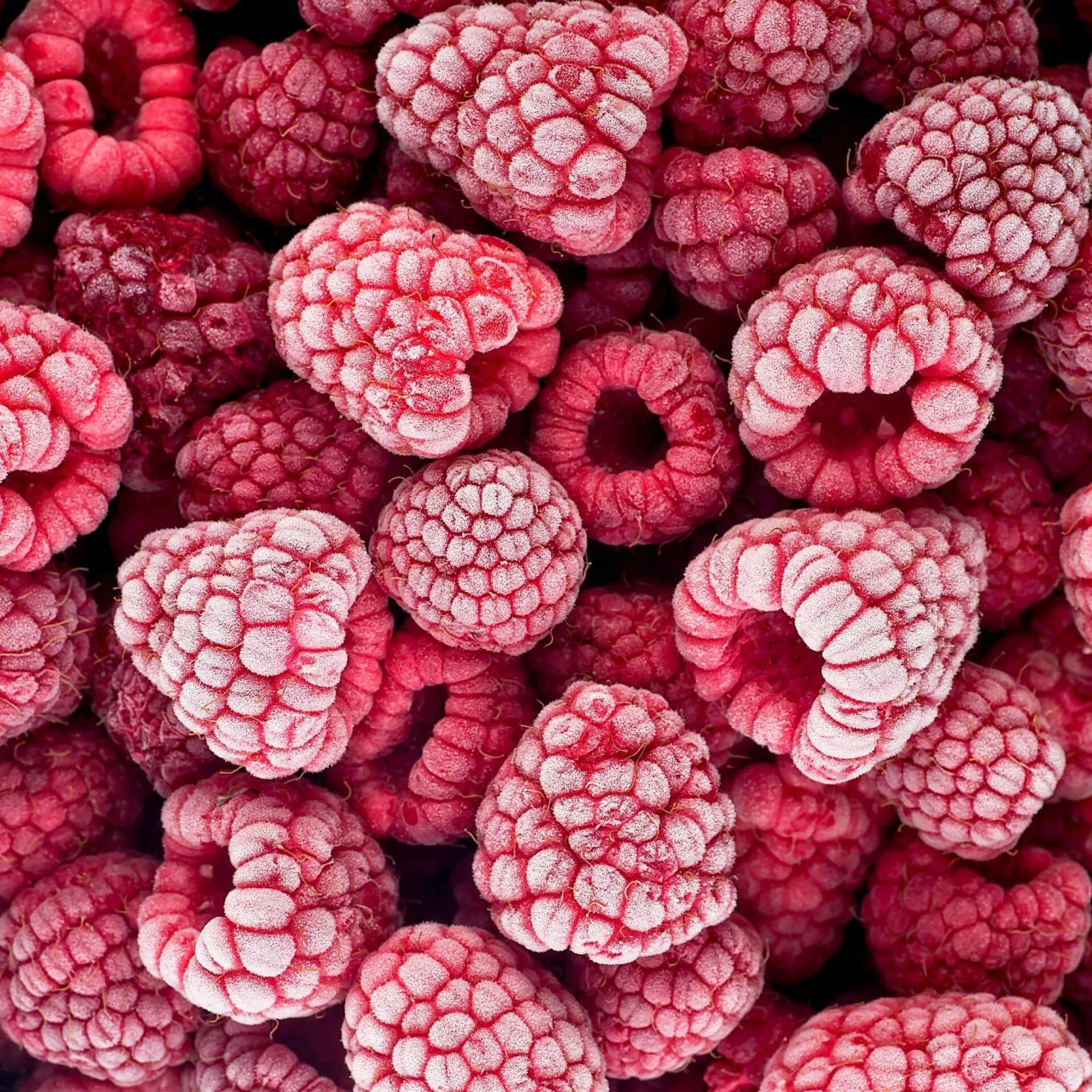Himbeeren einfrieren