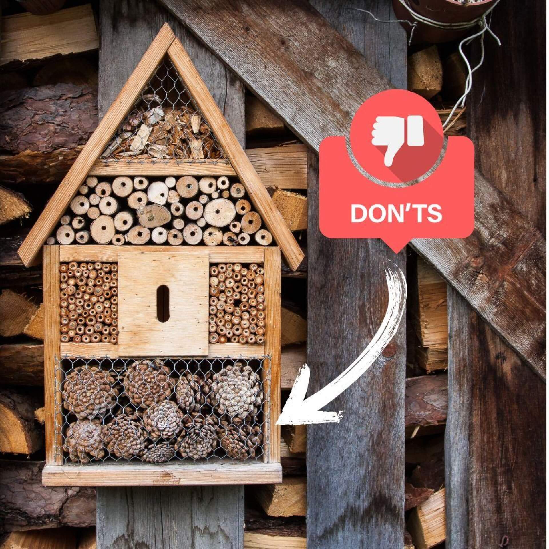 Wildbienenhotel Kauftipps - Vermeide gutgemeinte Todesfallen!