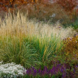 Präriegarten