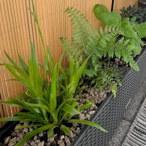 pflegeleichter Schattenbalkon