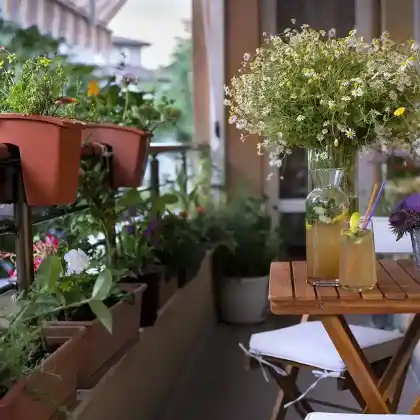 Ganzjährig blühender Schattenbalkon