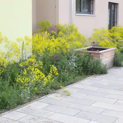 Repräsentativer Vorgarten