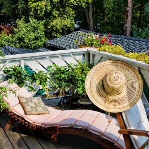 Pflanzen für Balkon und Terrasse