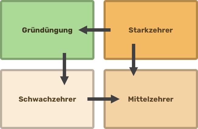 Schema: Fruchtfolge Schema: Fruchtfolge
