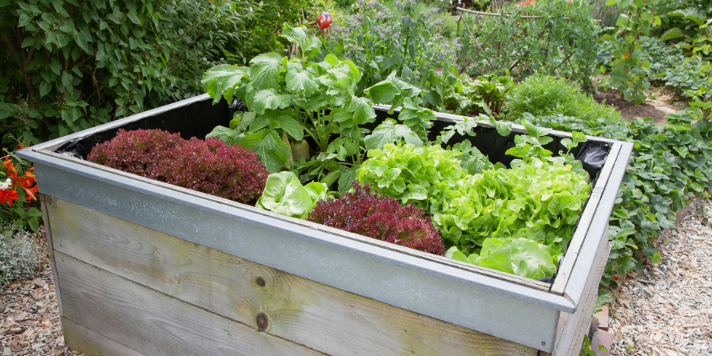 Hochbeet im Garten Hochbeet im Garten