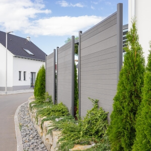 Sträucher als Sichtschutz